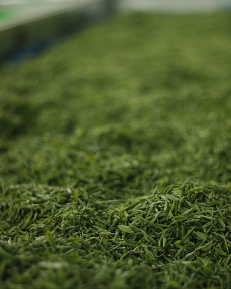 Green tea